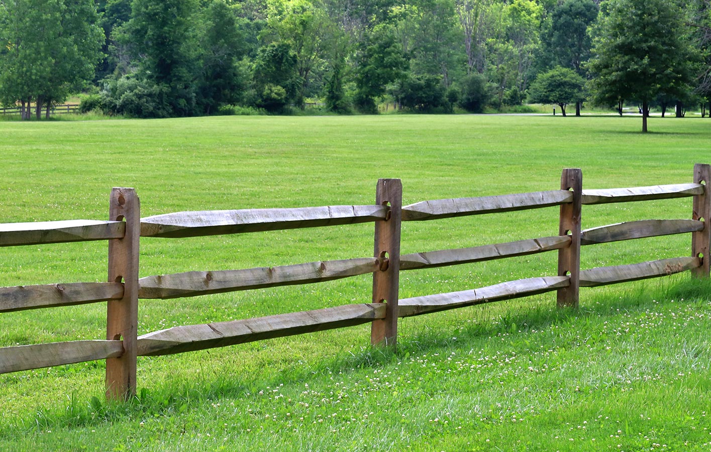 Weidezaun aus Massivholz